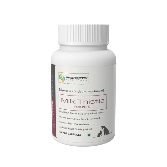 Silymarin Milk Thistle for Dogs and Cats – Liver Support Supplement for Animals 60 Capsules