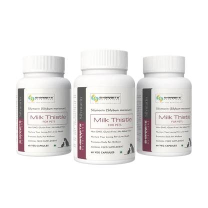 Silymarin Milk Thistle for Dogs Cats and Horses – Liver Detox Support 3 x 60 Capsules Pack