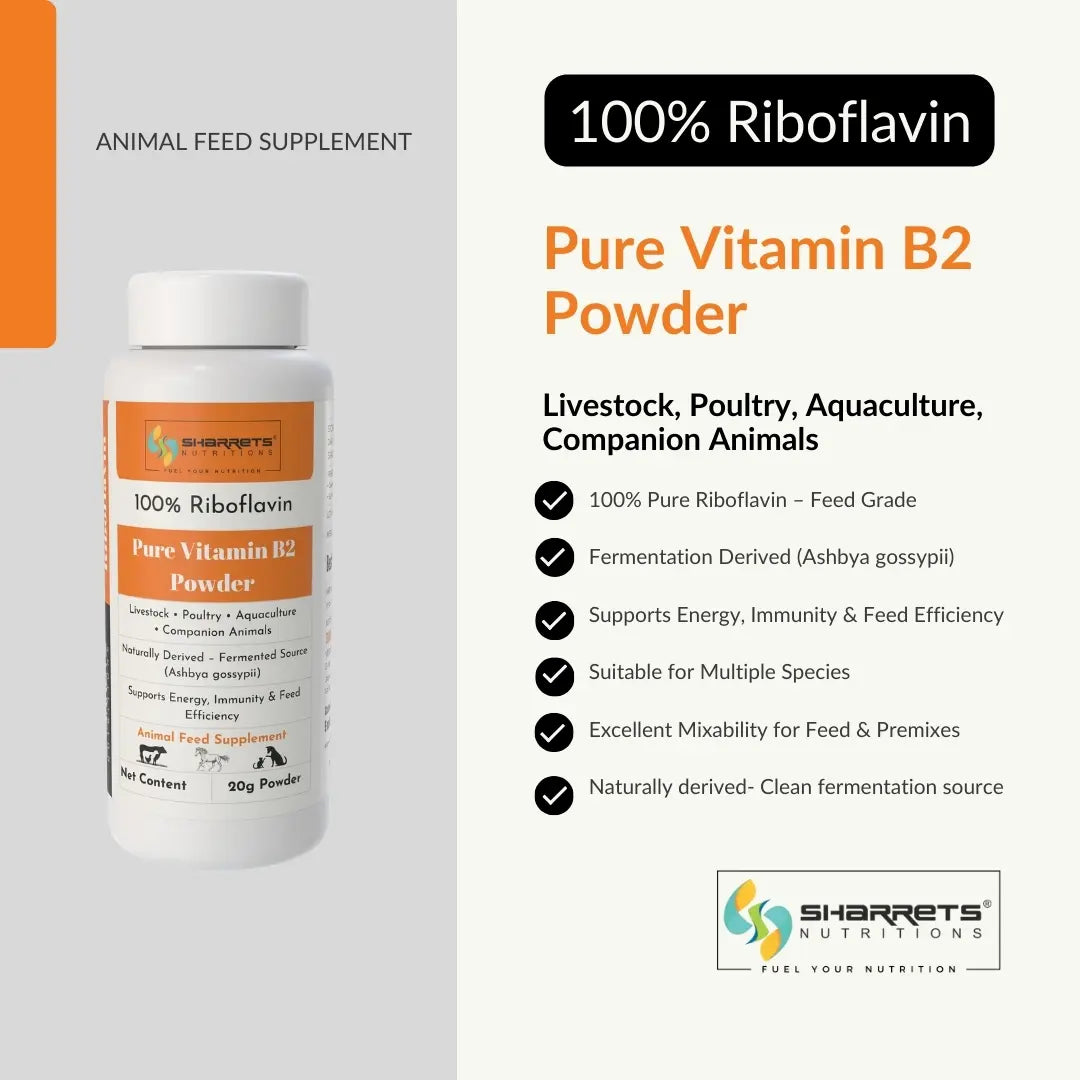 Info image of Pure vitamin B2 riboflavin powder for animal feed 20g supplement for livestock poultry aquaculture and companion animals
