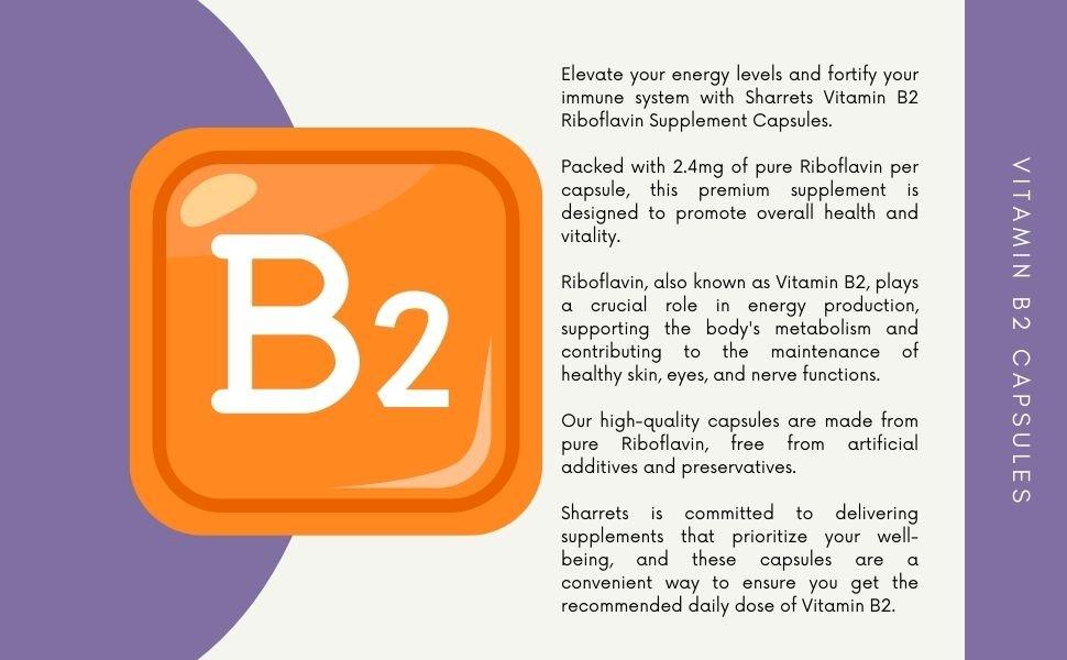 Vitamin B2 Riboflavin 2.4 mg Capsules – Vegetarian Supplement for Energy Metabolism and Immune Support