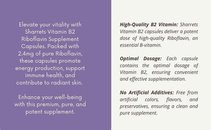 Vitamin B2 Riboflavin 2.4 mg Capsules High Quality Vitamin B2 Supplement for Energy Production and Healthy Skin