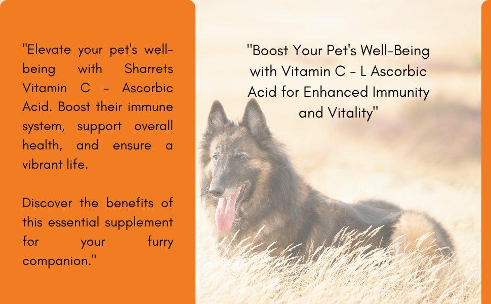 Vitamin C for dogs and cats – L-ascorbic acid supplement supporting immune health, vitality and overall wellness in pets
