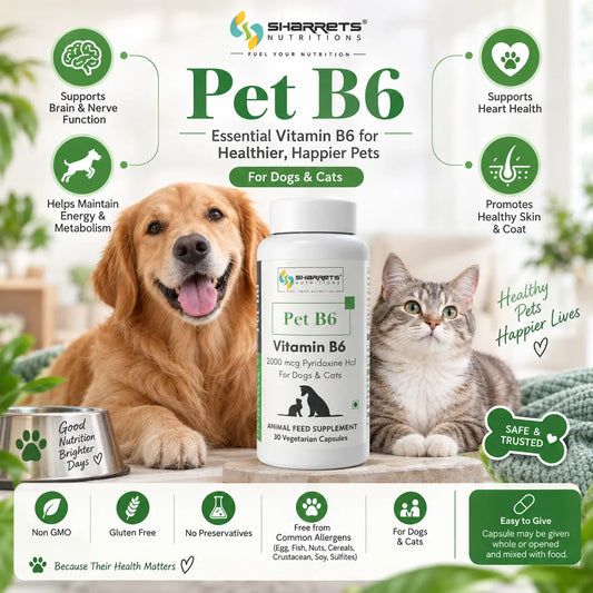Sharrets Pet B6 Vitamin B6 (Pyridoxine HCl) 2000 mcg supplement for dogs and cats, featuring a dog and cat, with benefits including daily nutritional support for normal energy metabolism, nervous system function and protein metabolism. 30 vegetarian capsules.
