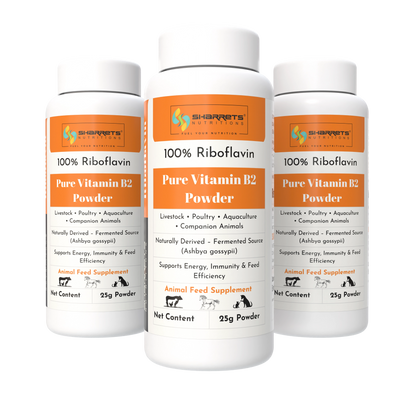 Vitamin B2 Riboflavin Powder For Animal Feed